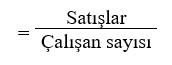 Çalışan Başına Gelir