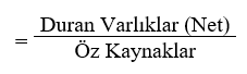 Duran Varlıkların Öz Kaynaklara Oranı (Non-Current Assets / Equity)