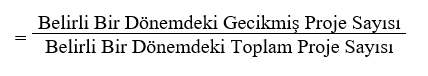 Gecikmiş Proje Yüzdesi