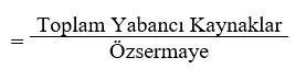 Yabancı Kaynaklar/Özkaynak Oranı (Debt/Equity Ratio)
